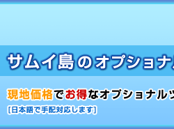 格安オプショナルツアー　サムイ　サムイ島